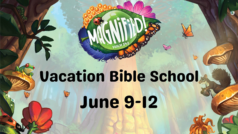 VBS2025-Date.jpg